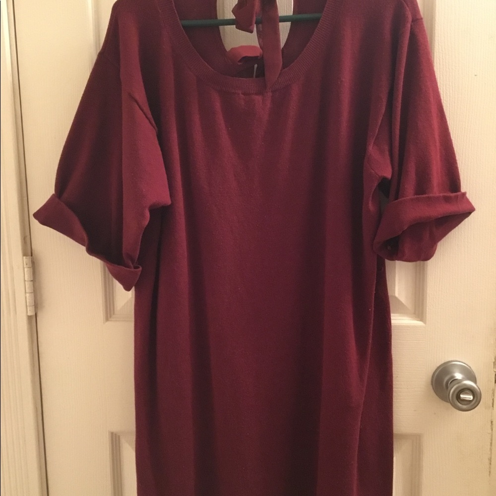 Long Sweater or Dress